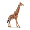New Schleich Girafa Macho