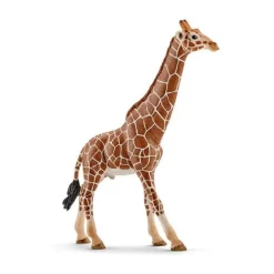 New Schleich Girafa Macho