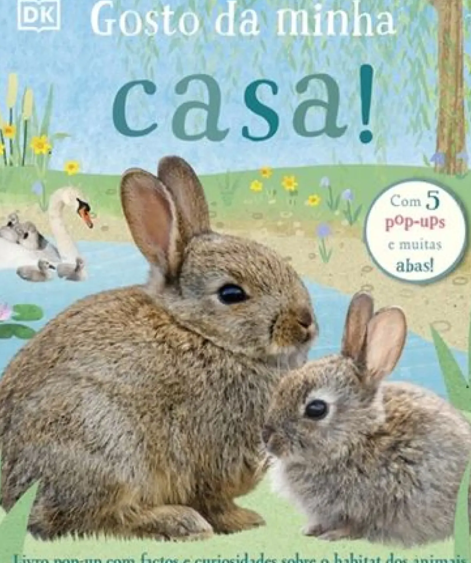 Texto Atividades > Gosto da Minha Casa!
