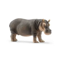 Schleich Schleich|Colecionáveis > Hipopotamo