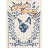 Best Dom Quixote História de um Gato de Laura Agustí