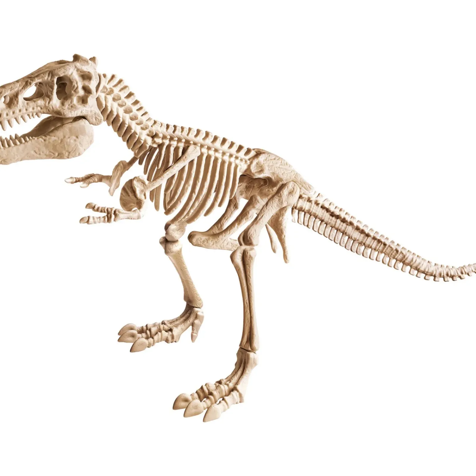 Discount Ciência & Jogo Kit Arqueologia - T-Rex Gigante