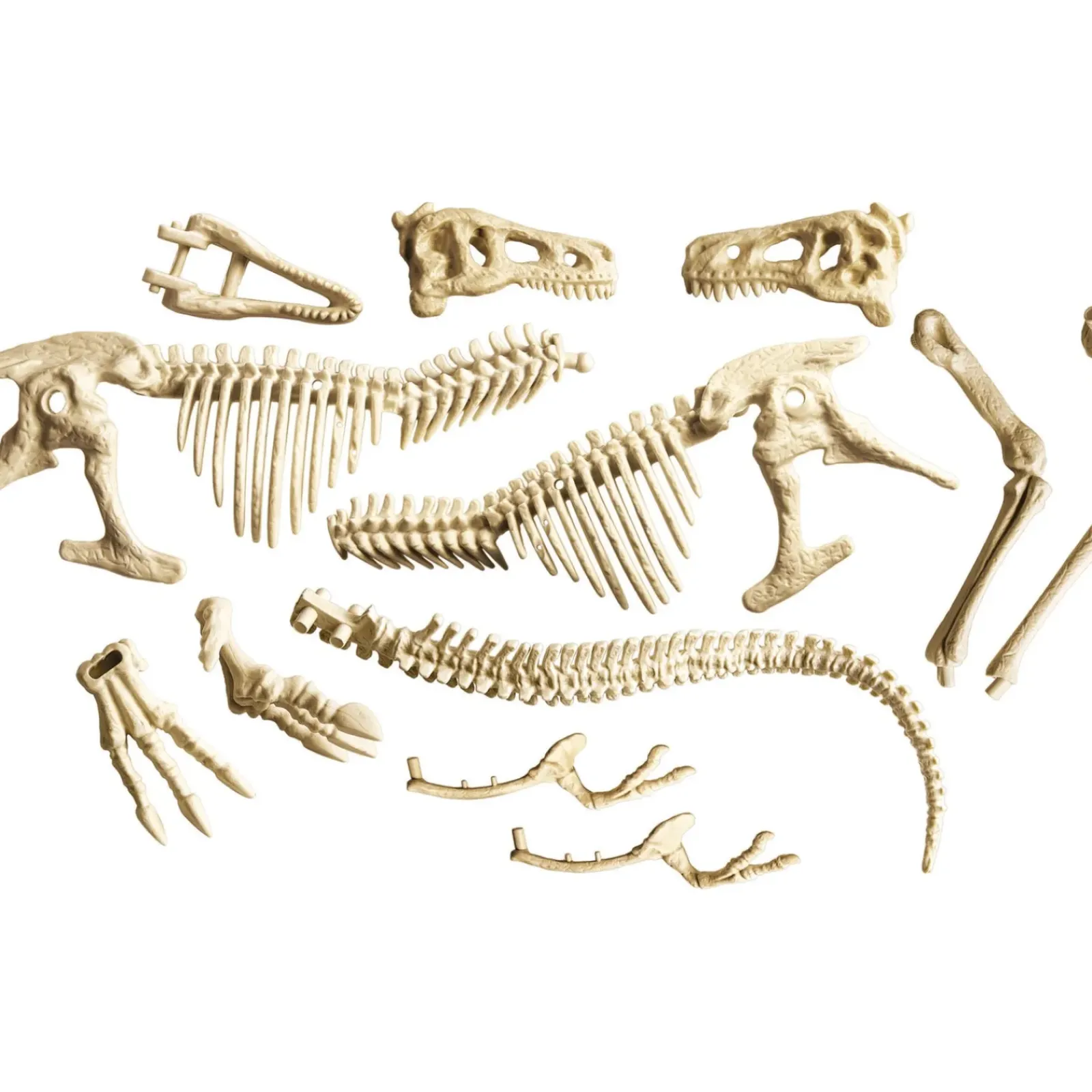 Discount Ciência & Jogo Kit Arqueologia - T-Rex Gigante