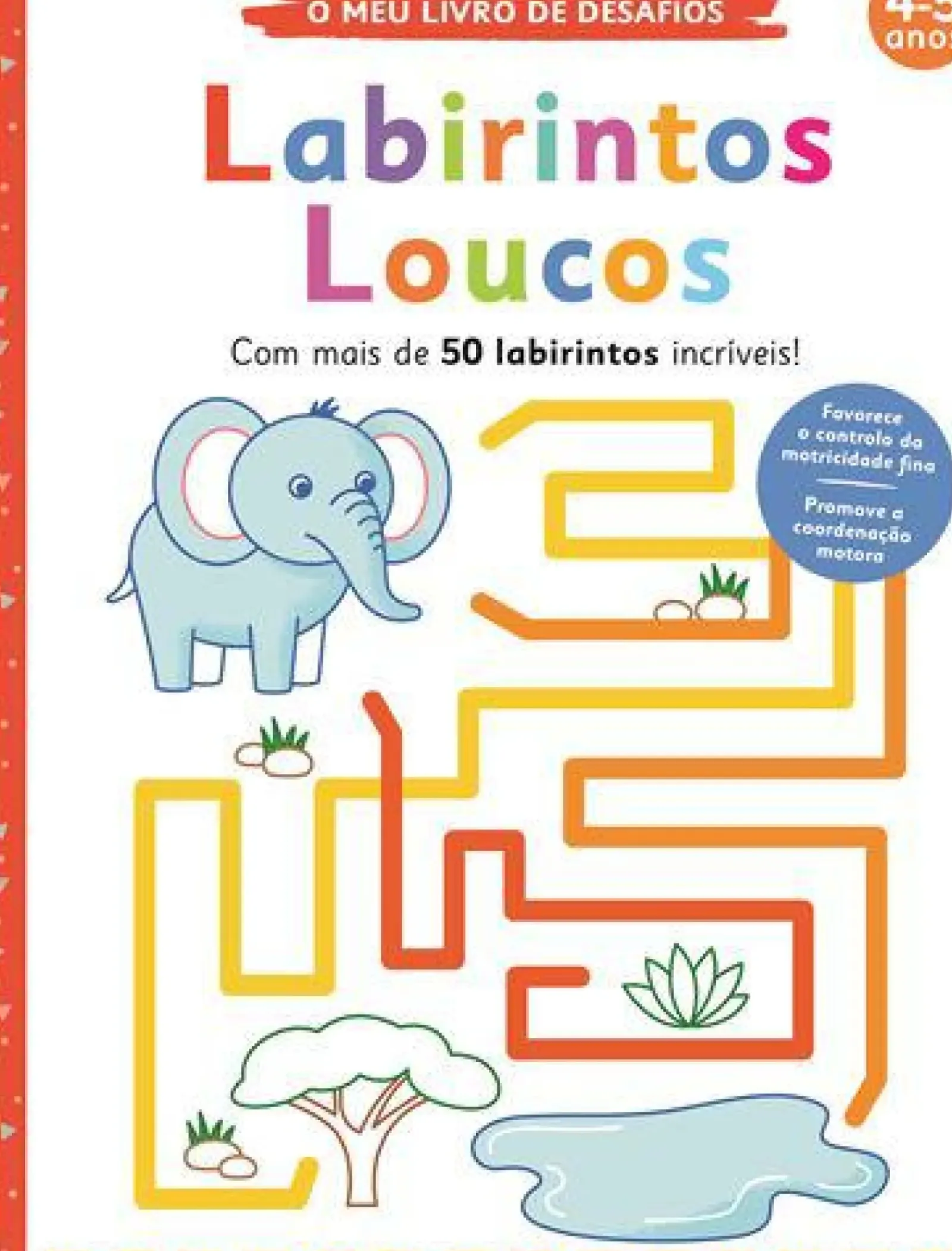Joybooks Labirintos Loucos de Elizabeth Golding - O Meu Livro de Desafios: