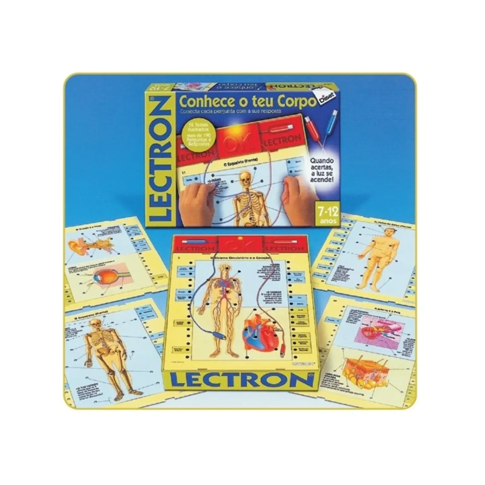Best Diset Lectron Conhece O Teu Corpo