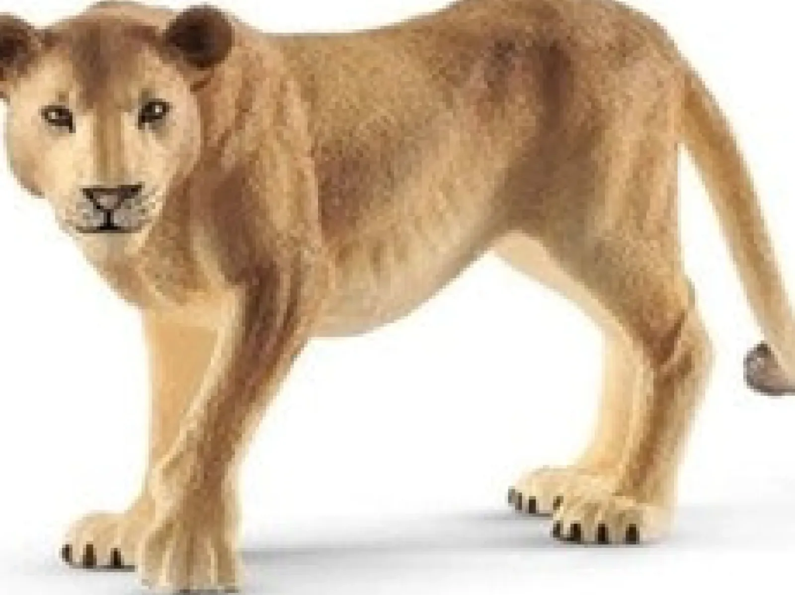 Schleich Schleich|Colecionáveis > Leoa