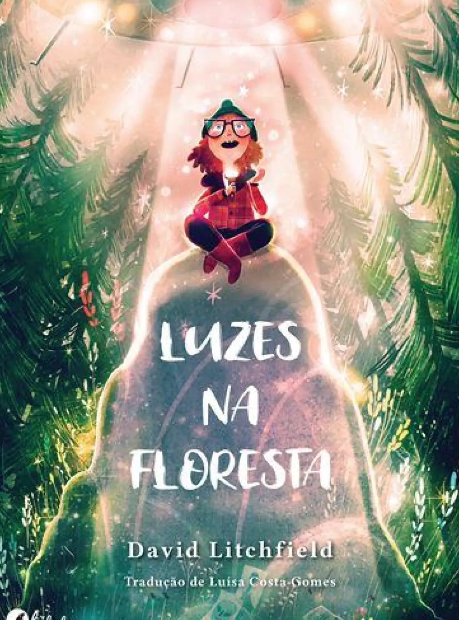 Hot Fábula Luzes na Floresta de David Litchfield