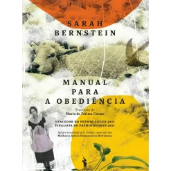 Hot Dom Quixote Manual para a Obediência de Sarah Bernstein