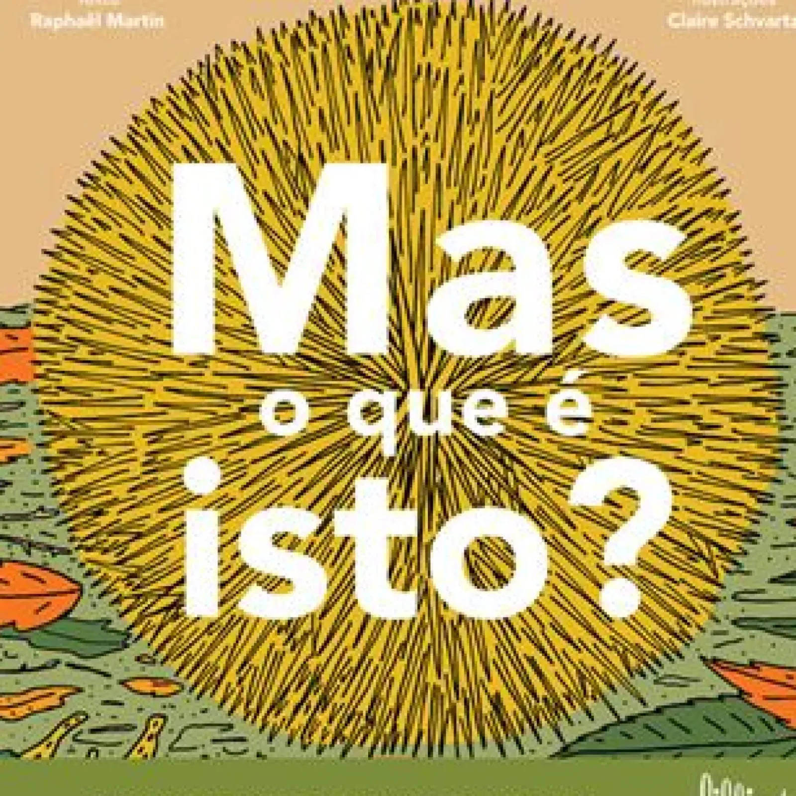 Lilliput Conhecimento > Mas o que é Isto? de Raphaël Martin