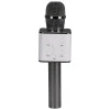 Wesdar Eletrónica > Microfone sem Fios com Coluna