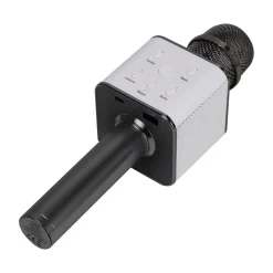 Wesdar Eletrónica > Microfone sem Fios com Coluna