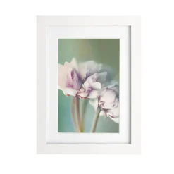 Clearance Kasa Moldura Básica 10 x 15cm Branca