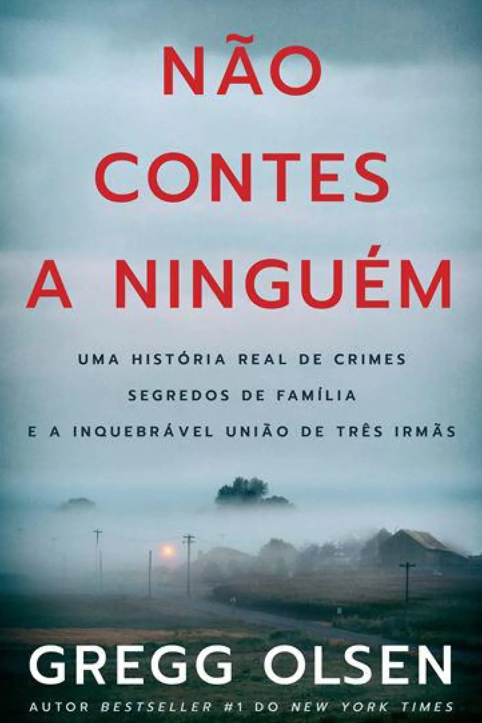 Lua De Papel Policial > Não Contes a Ninguém de Gregg Olsen