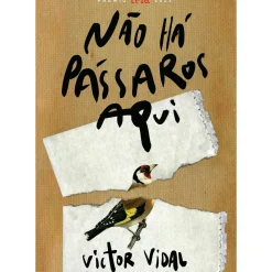 Leya Romance > Não Há Pássaros Aqui de Victor Vidal