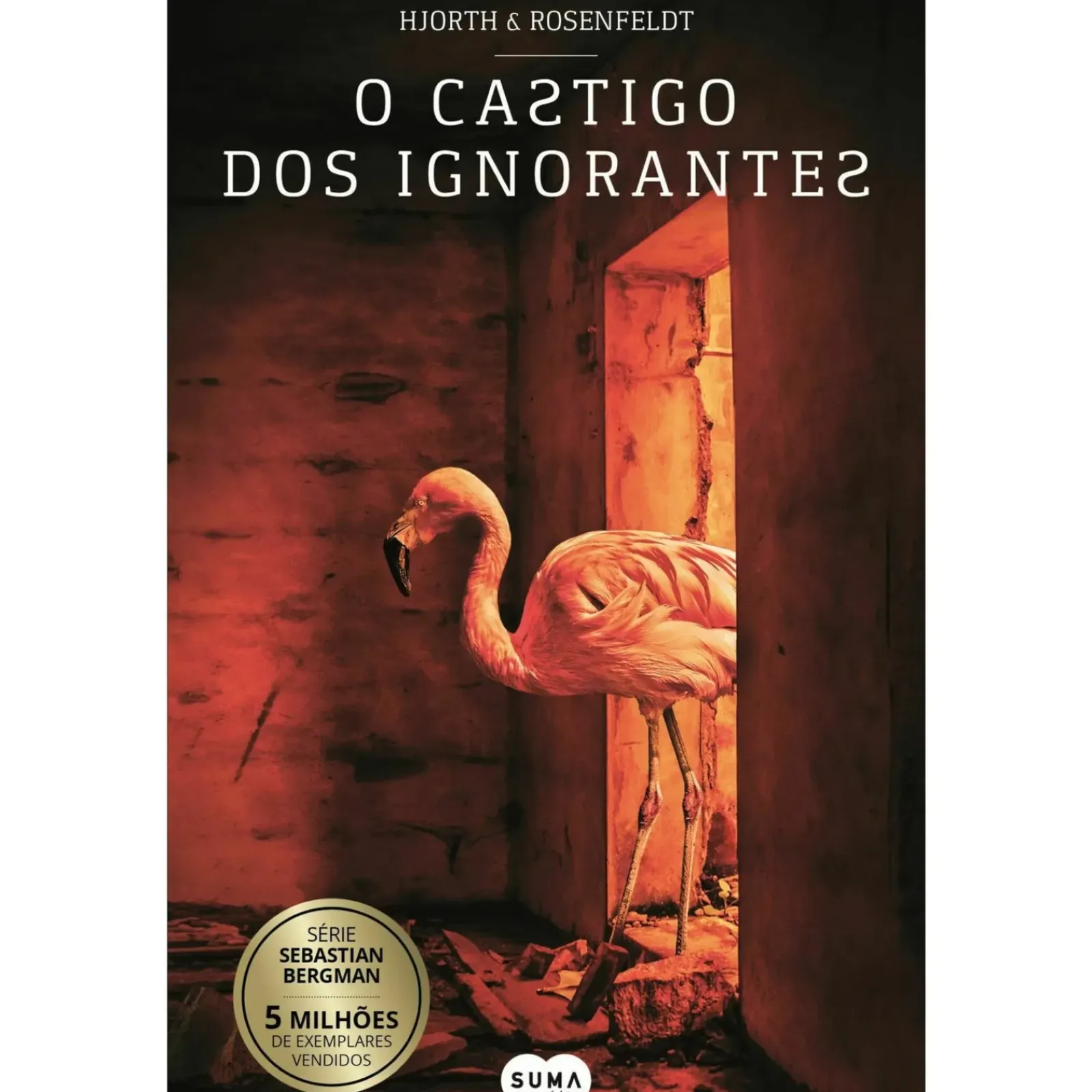 Suma De Letras Livros De Bolso > O Castigo dos Ignorantes de Hans Rosenfeldt e Michael Hjorth - Livro de Bolso