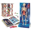 Ciência & Jogo Jogos Educativos E Científicos > O Corpo Humano Clementoni