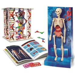 Ciência & Jogo Jogos Educativos E Científicos > O Corpo Humano Clementoni