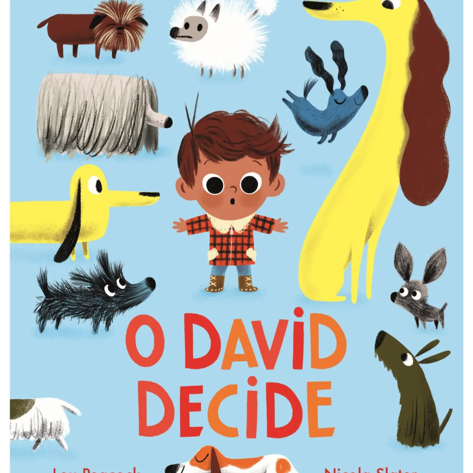Nuvem De Letras Literatura Infantil > O David Decide de Lou Peacock