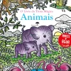 Jacarandá Atividades > O Livro da Tinta Mágica - Animais