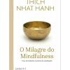 Nascente Desenvolvimento Pessoal > O Milagre do Mindfulness de Thich Nhat Hanh