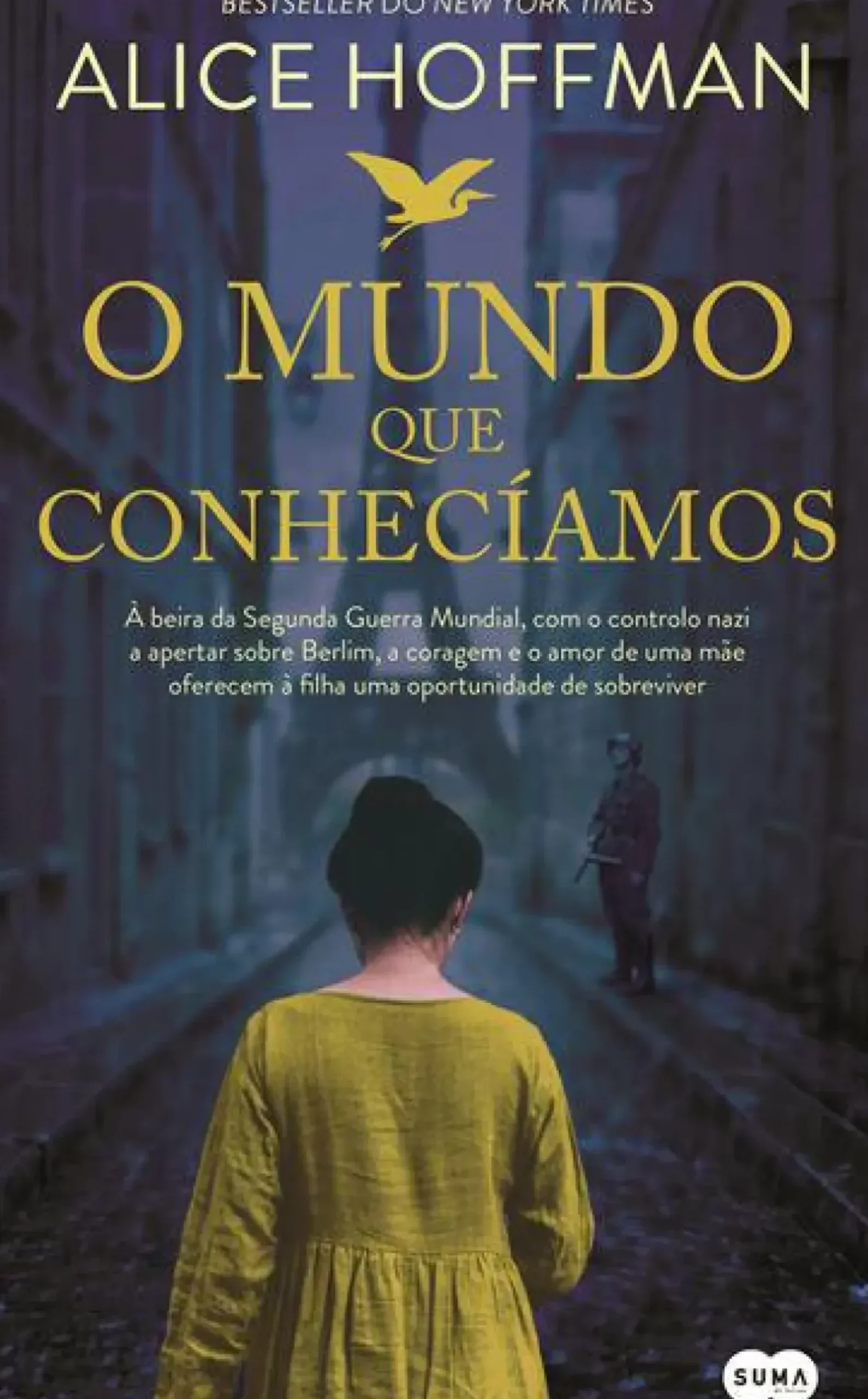 Suma De Letras Romance > O Mundo que Conhecíamos de Alice Hoffman