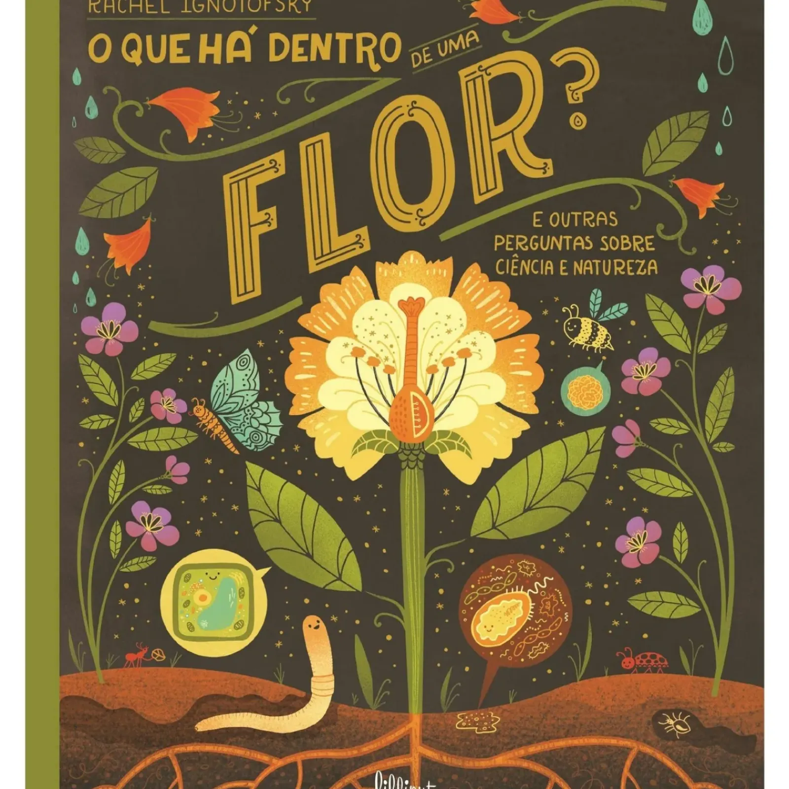 Clearance Nuvem De Letras O que Há Dentro de uma Flor? de Rachel Ignotofsky