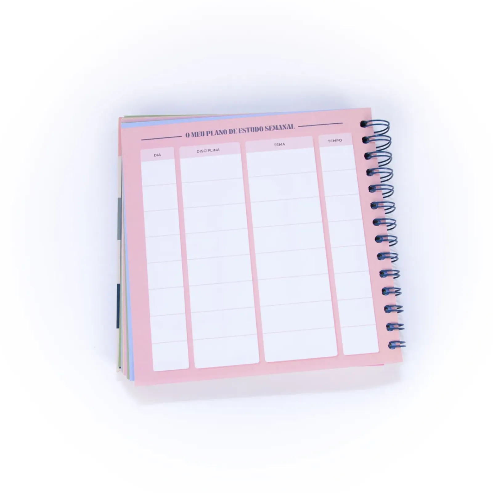 New Mr Wonderfull Organizador Estudo - 20 Valores