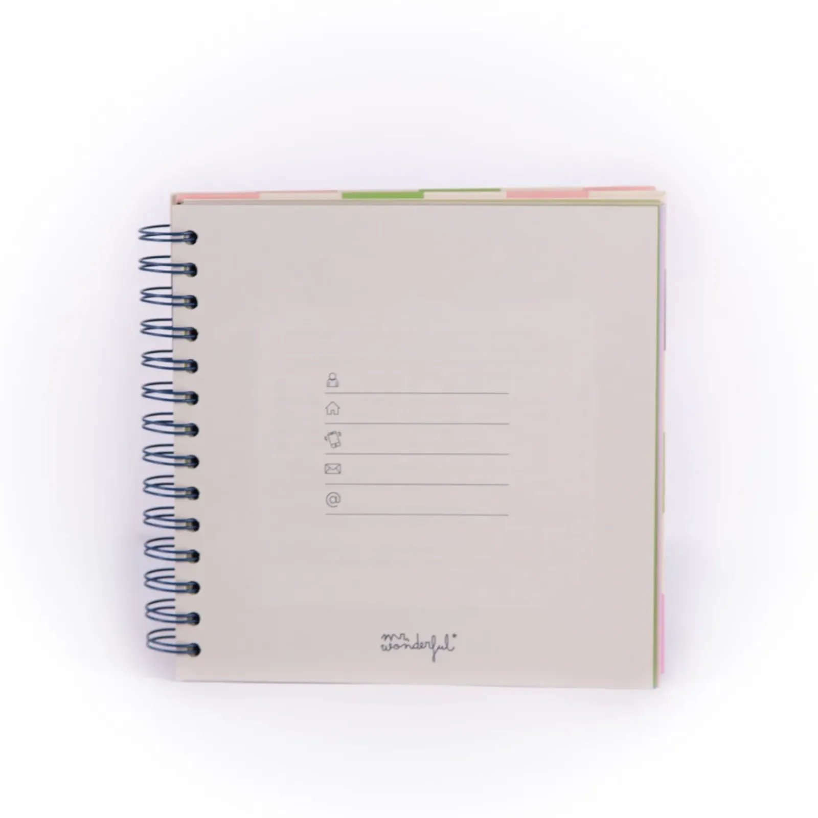 New Mr Wonderfull Organizador Estudo - 20 Valores