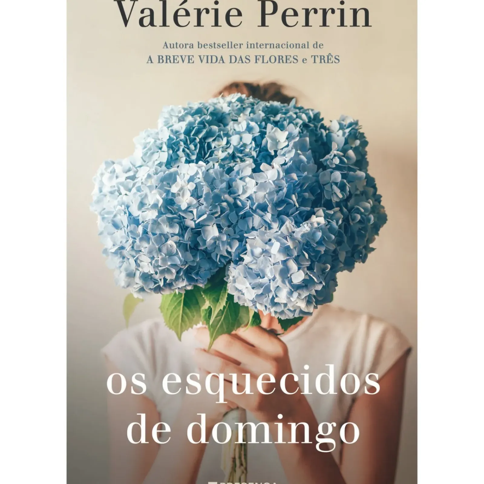 Online Presença Os Esquecidos de Domingo de Valerie Perrin