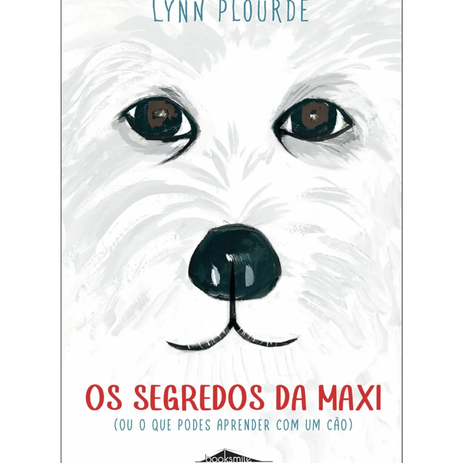 Hot Booksmile Os Segredos da Maxi de Lynn Plourde