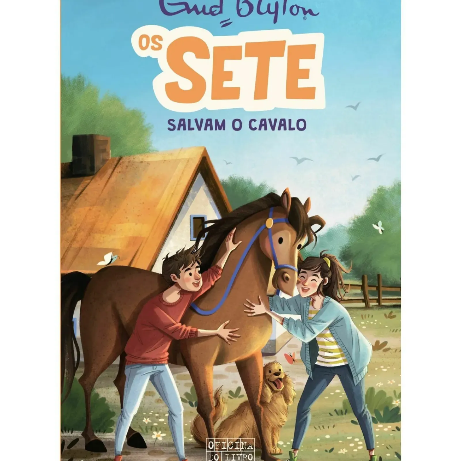 Oficina Do Livro Coleções Juvenis > Os Sete Salvam o Cavalo de Enid Blyton - Os Sete Volume 15