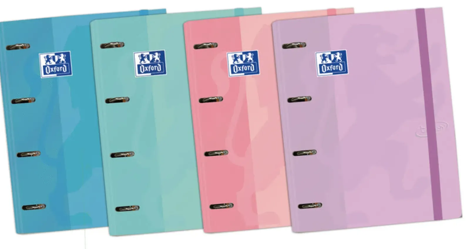 Oxford Pastas De Arquivo E Recargas > Pasta A4 Com 100 Folhas Pastel