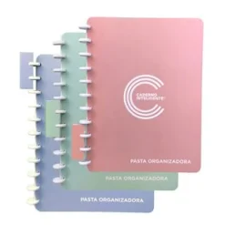 Caderno Inteligente Cadernos De Disco|Capas E Classificadores > Pasta Organizadora para