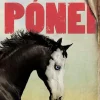 Gailivro Literatura Juvenil > Pónei de R. J. Palacio
