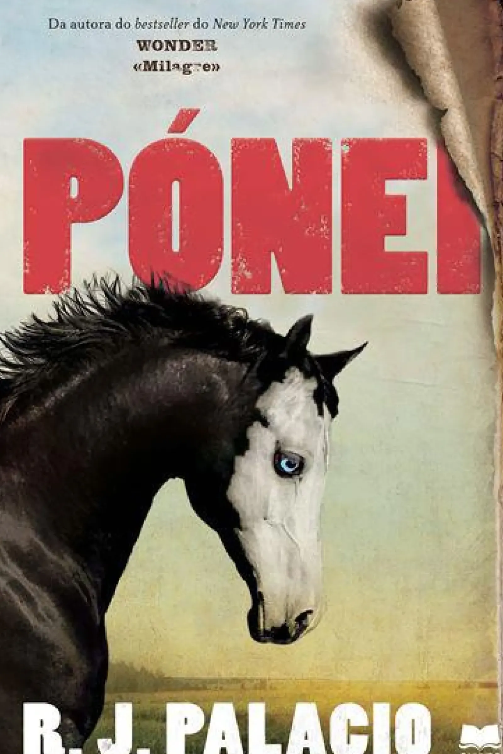 Gailivro Literatura Juvenil > Pónei de R. J. Palacio