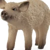 Schleich Schleich|Colecionáveis > Porquinho Lanoso