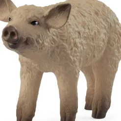 Schleich Schleich|Colecionáveis > Porquinho Lanoso
