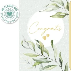 Online Artebene Postal - Congrats