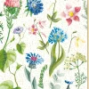 Artebene Postais > Postal - Flores Shiny
