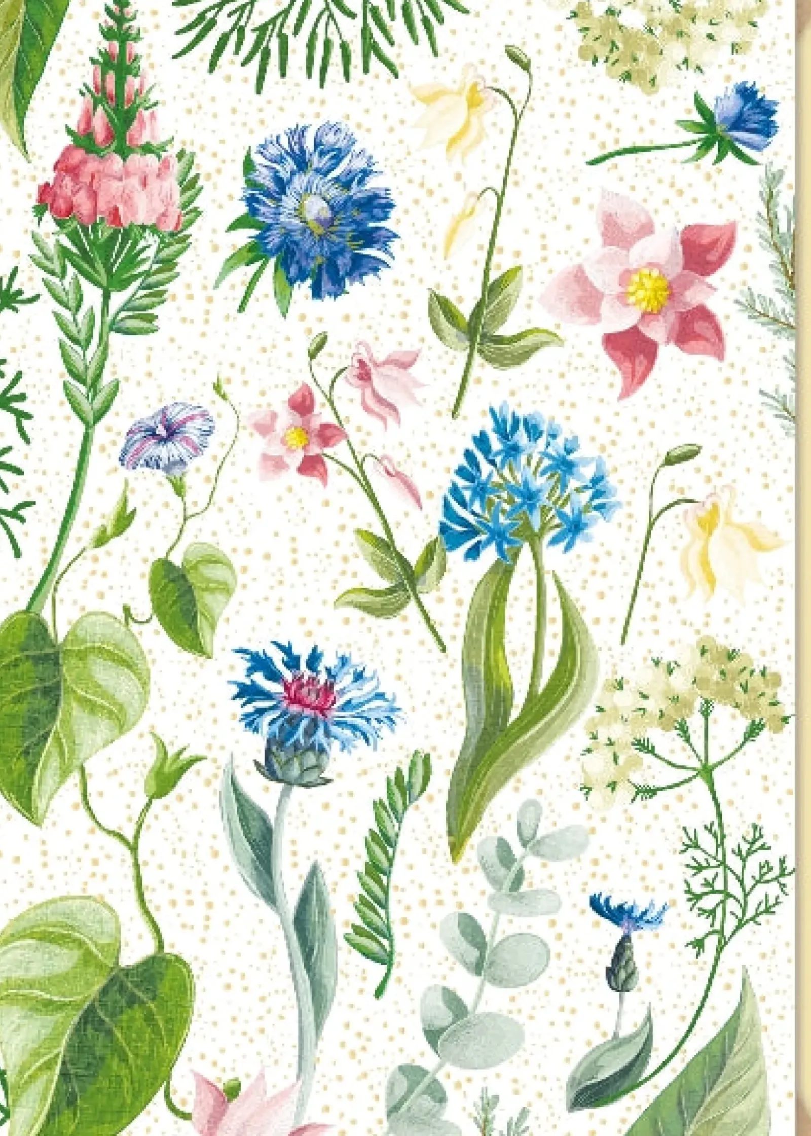 Artebene Postais > Postal - Flores Shiny