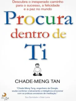 Lua De Papel Desenvolvimento Pessoal > Procura Dentro de Ti de Chade-Meng Tan