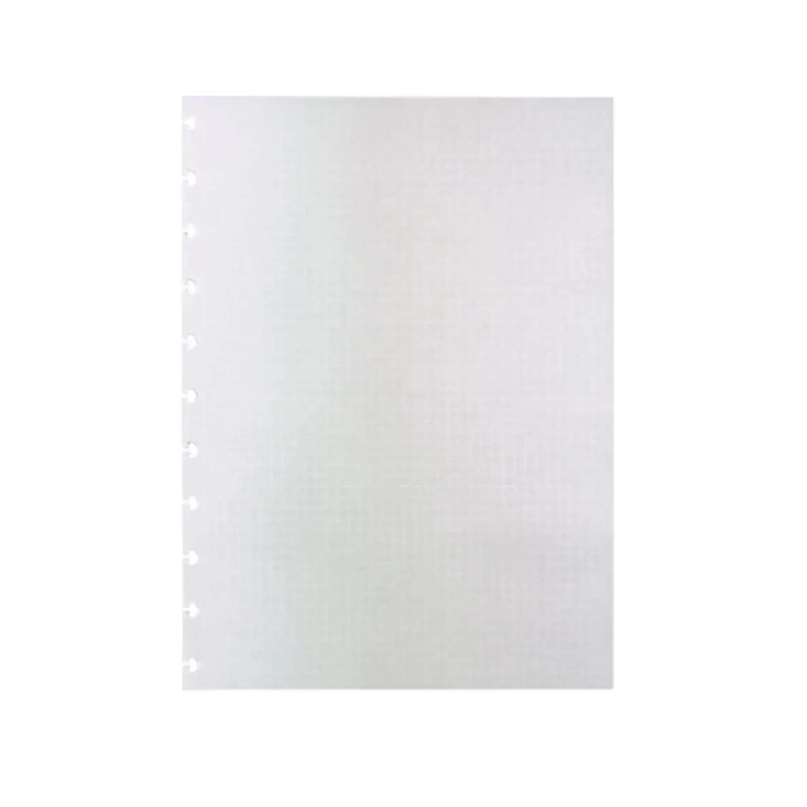 Caderno Inteligente Cadernos E Recargas|Cadernos De Disco > Recargas Grande Quadriculado 120G Branco