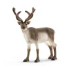 Schleich Schleich|Colecionáveis > Rena