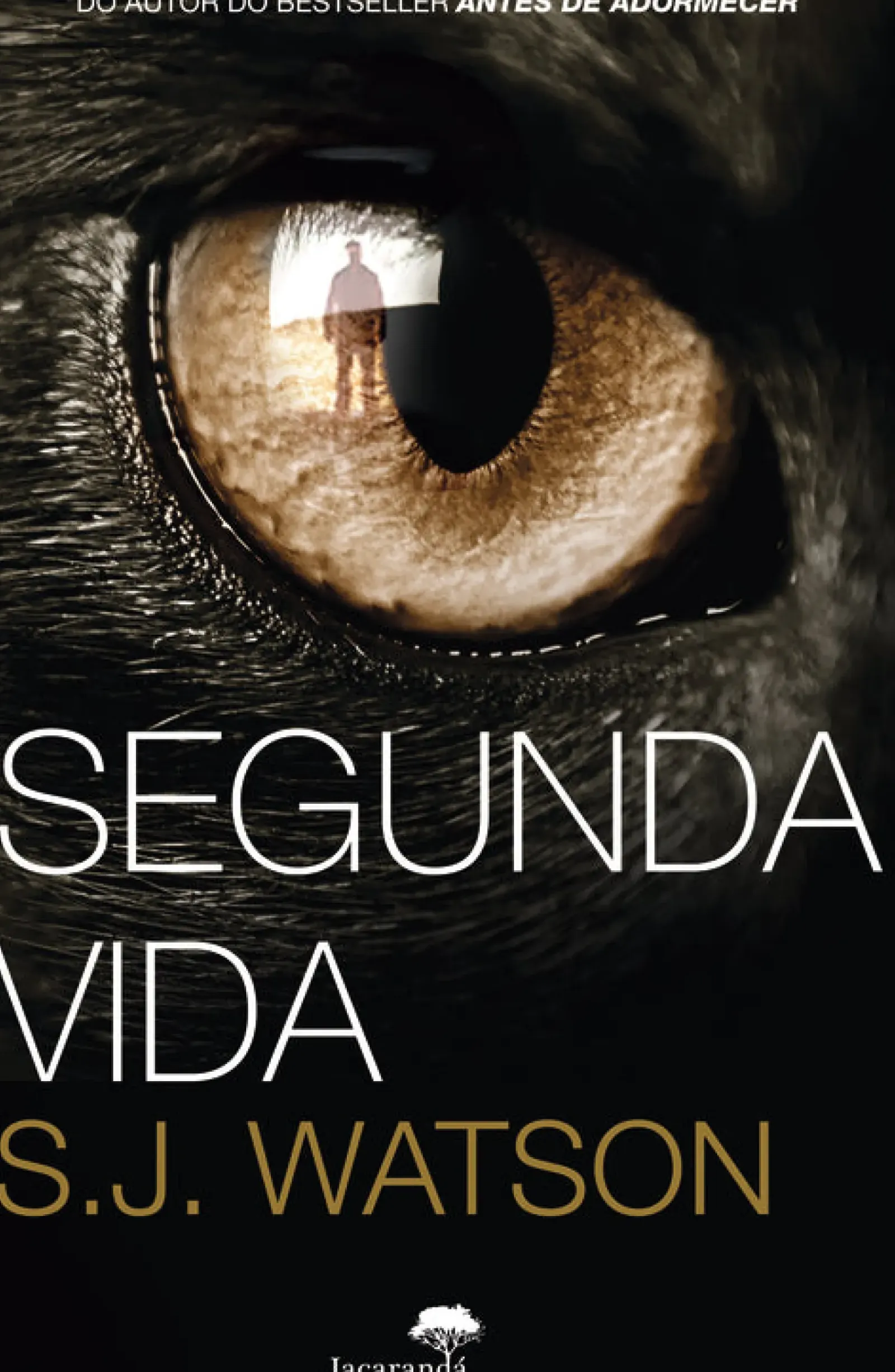 New Presença Segunda Vida de S. J. Watson