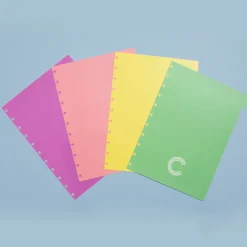 Caderno Inteligente Cadernos De Disco|Separadores E Micas > Separadores A4 Pastel