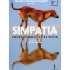 New Dom Quixote Simpatia de Rodrigo Blanco Calderón
