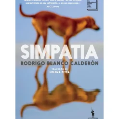 New Dom Quixote Simpatia de Rodrigo Blanco Calderón