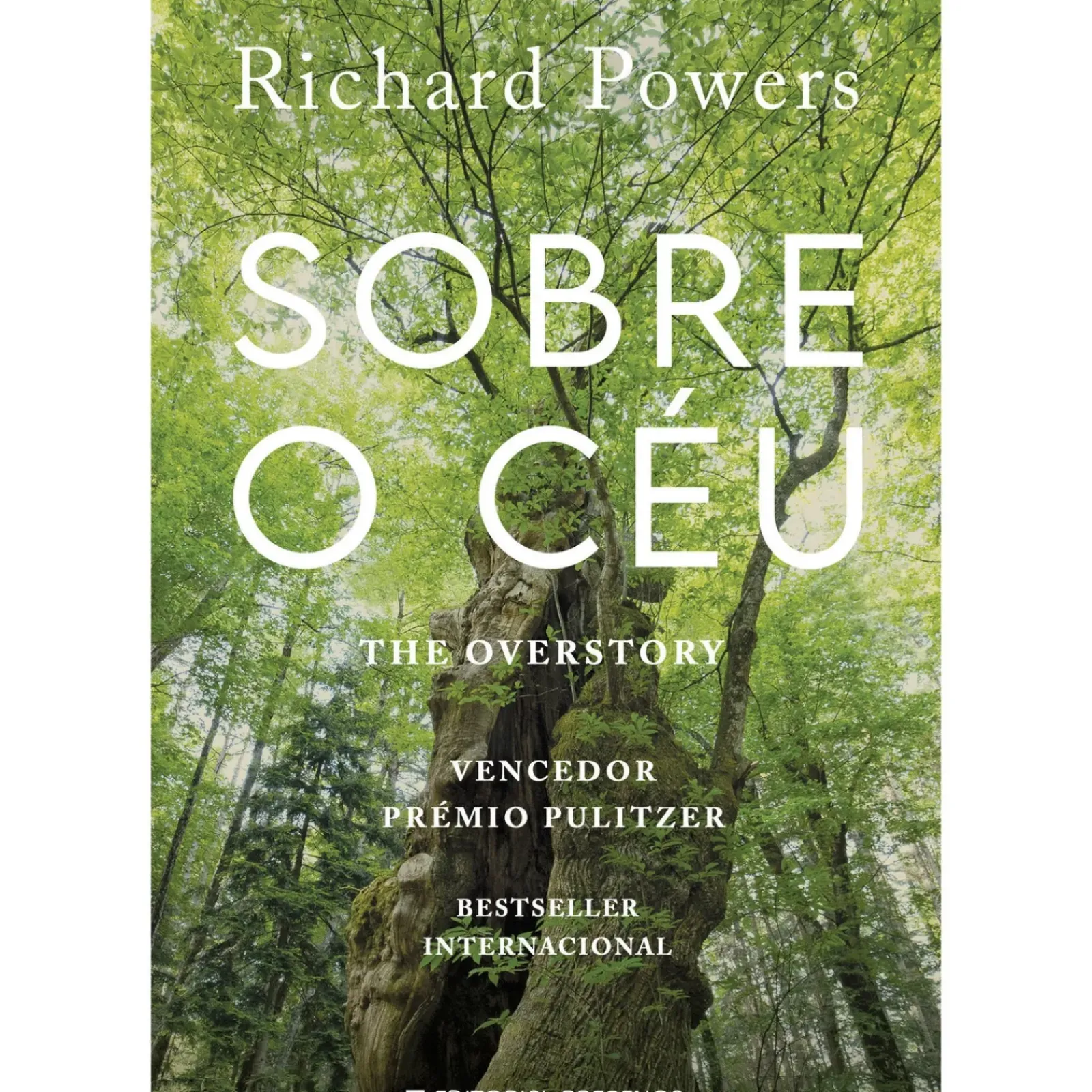 Presença Romance > Sobre o Céu - The Overstory de Richard Powers