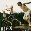 Porto Editora Romance > Sobreviventes de Alex Schulman