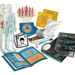 Best Ciência & Jogo Super Anatomia Clementoni